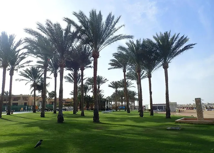 Stella Makadi Palace Gurdaka